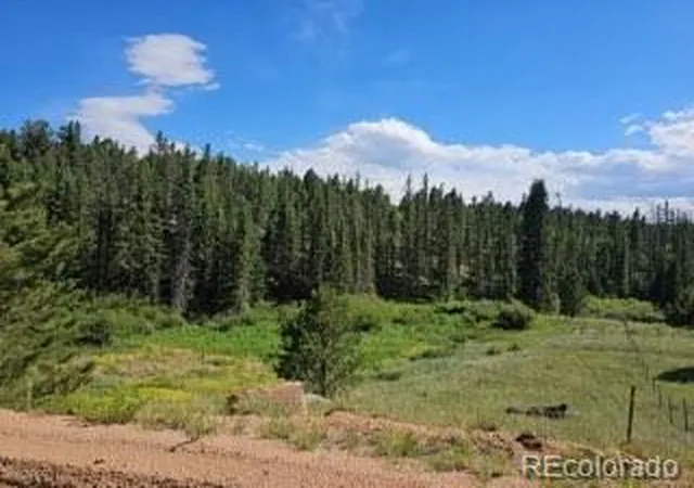 3rd image of 1164 Arapahoe Creek Trl, Florissant, CO 80816 | MLS# 9731267