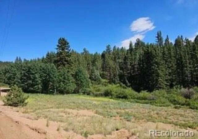 4th image of 1164 Arapahoe Creek Trl, Florissant, CO 80816 | MLS# 9731267