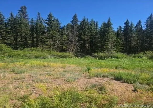 5th image of 1164 Arapahoe Creek Trl, Florissant, CO 80816 | MLS# 9731267