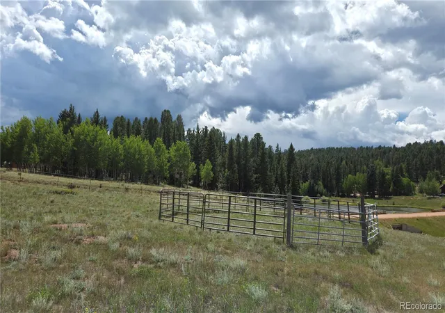 4th image of 99 Uintah Ridge Rd, Florissant, CO 80816 | MLS# 9849797