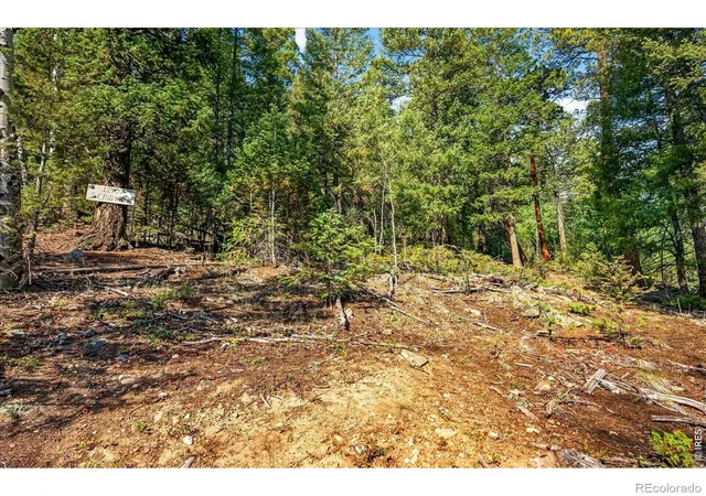 Photo 2 of Land for sale at 12907 S Cindy Ave, Pine, CO 80470 | MLS# IR1066805 | Listing updated on 2026-08-20