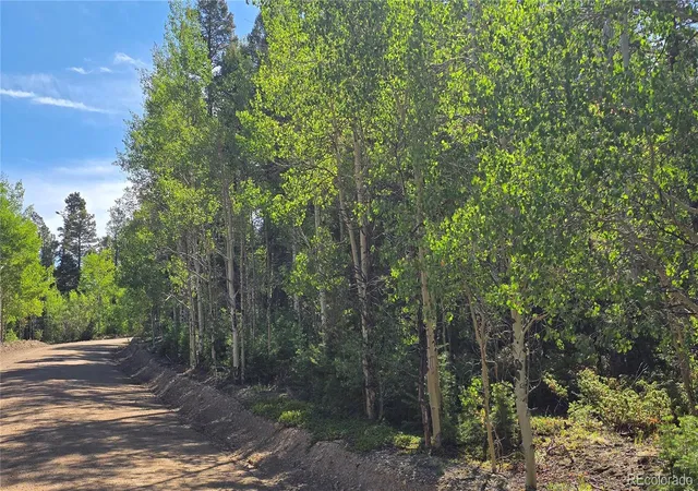 Photo 17 of Sale Pending at Lot 5816 Balleroy Rd, Fort Garland, CO 81133 | MLS# 7898650 | Listing updated on 2026-08-26