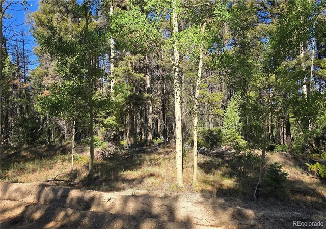 Photo 2 of Sale Pending at Lot 5816 Balleroy Rd, Fort Garland, CO 81133 | MLS# 7898650 | Listing updated on 2026-08-26