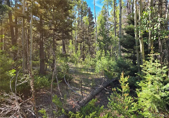 Photo 3 of Sale Pending at Lot 5816 Balleroy Rd, Fort Garland, CO 81133 | MLS# 7898650 | Listing updated on 2026-08-26
