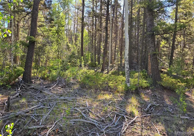 Photo 4 of Sale Pending at Lot 5816 Balleroy Rd, Fort Garland, CO 81133 | MLS# 7898650 | Listing updated on 2026-08-26