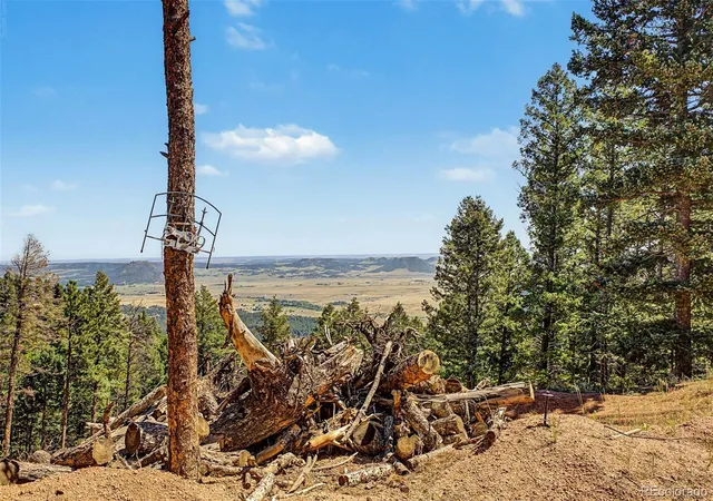 2nd image of 2199 Badger Dr, Larkspur, CO 80118 | MLS# 1503227