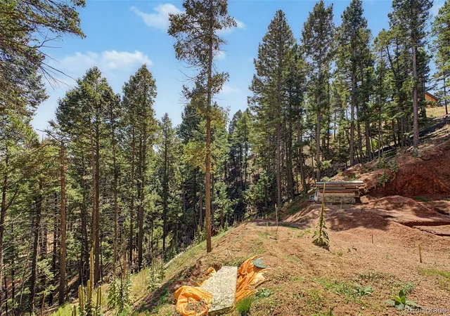 22nd image of 2199 Badger Dr, Larkspur, CO 80118 | MLS# 1503227