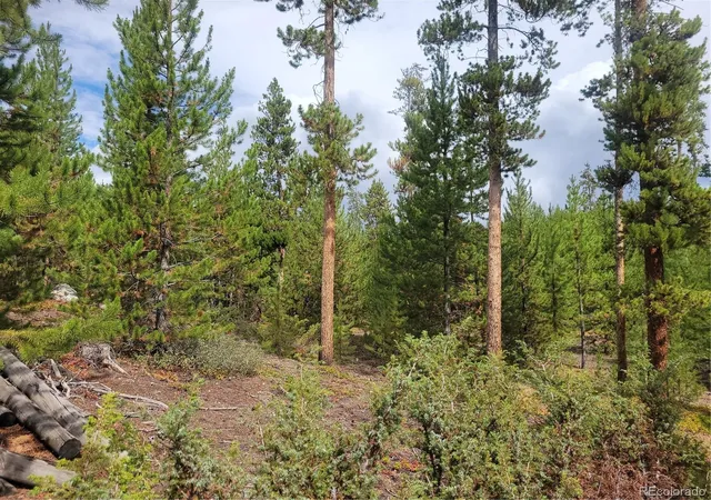 Photo 1 of Land for sale at 65 Grand County Rd 6621, Grand Lake, CO 80447 | MLS# 3042174 | Listing updated on 2026-08-20