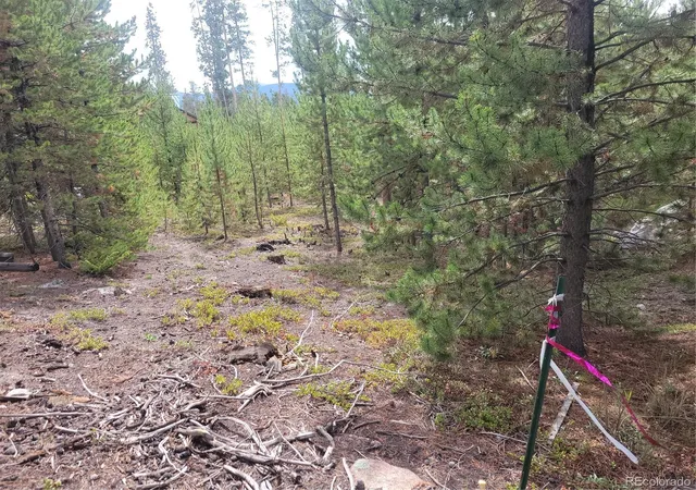 Photo 3 of Land for sale at 65 Grand County Rd 6621, Grand Lake, CO 80447 | MLS# 3042174 | Listing updated on 2026-08-20