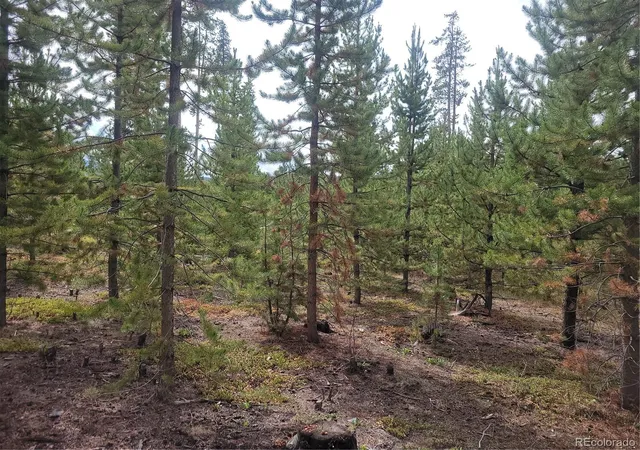 Photo 4 of Land for sale at 65 Grand County Rd 6621, Grand Lake, CO 80447 | MLS# 3042174 | Listing updated on 2026-08-20