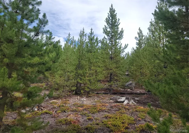 Photo 5 of Land for sale at 65 Grand County Rd 6621, Grand Lake, CO 80447 | MLS# 3042174 | Listing updated on 2026-08-20