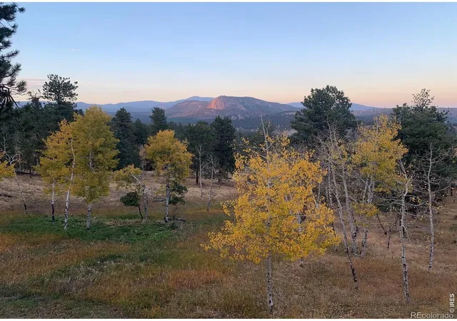 42nd image of 278 Overlook Dr, Bailey, CO 80421 | MLS# IR1066853
