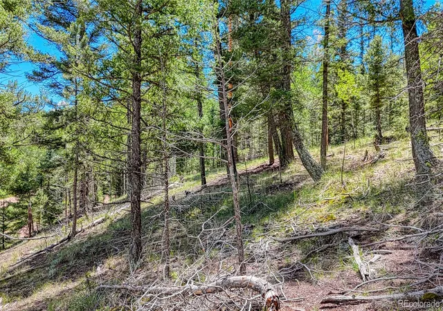 Photo 3 of Land for sale at 244 Spring Valley Ln, Florissant, CO 80816 | MLS# 6648030 | Listing updated on 2026-08-20