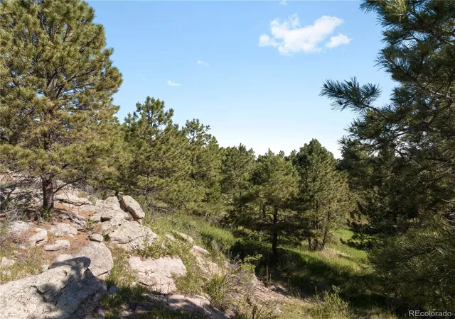3rd image of 18673 N Elbeer Rd, Elbert, CO 80106 | MLS# 6584553