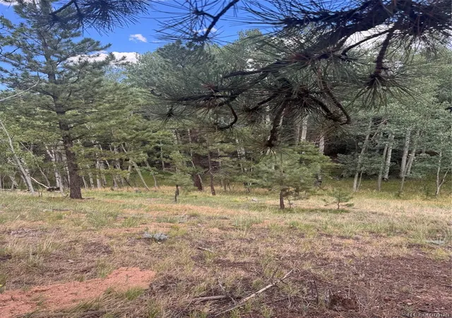 2nd image of 40 Sequoia Trl, Woodland Park, CO 80863 | MLS# 5902698