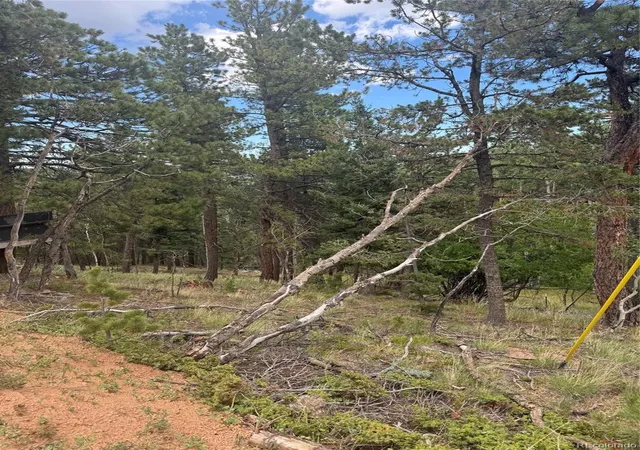 Photo 3 of Land for sale at 40 Sequoia Trl, Woodland Park, CO 80863 | MLS# 5902698 | Listing updated on 2026-09-24