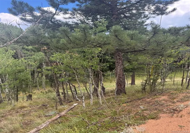 4th image of 40 Sequoia Trl, Woodland Park, CO 80863 | MLS# 5902698