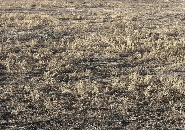 Photo 3 of Land for sale at Lot 7 San Luis Valley Ranches, Blanca, CO 81123 | MLS# 9397994 | Listing updated on 2026-08-20