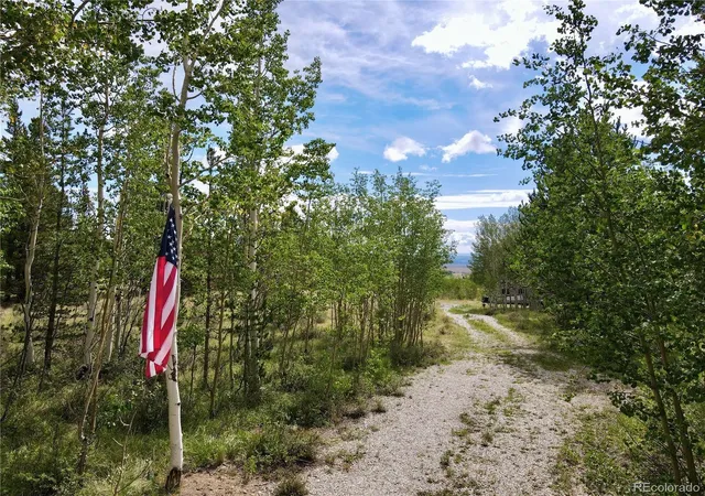 2nd image of 720 Bluestem Wy, Fairplay, CO 80440 | MLS# 2747010