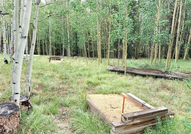5th image of 720 Bluestem Wy, Fairplay, CO 80440 | MLS# 2747010