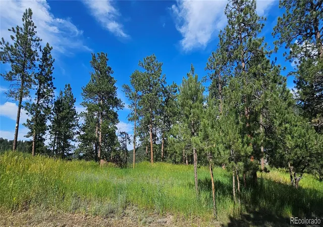3rd image of 27903 Pine Dr, Evergreen, CO 80439 | MLS# 9199084