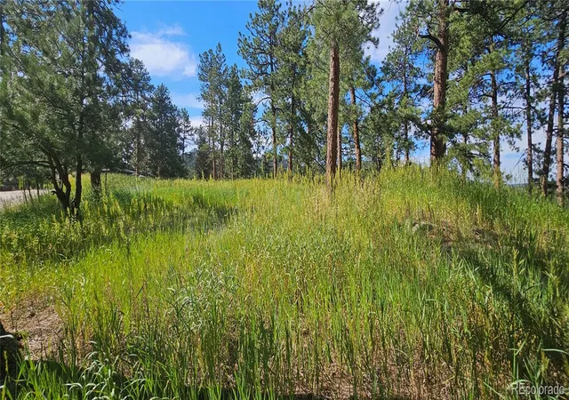 4th image of 27903 Pine Dr, Evergreen, CO 80439 | MLS# 9199084