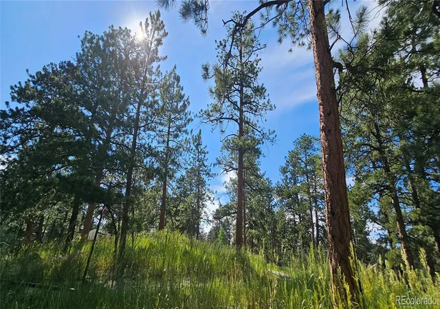 5th image of 27903 Pine Dr, Evergreen, CO 80439 | MLS# 9199084
