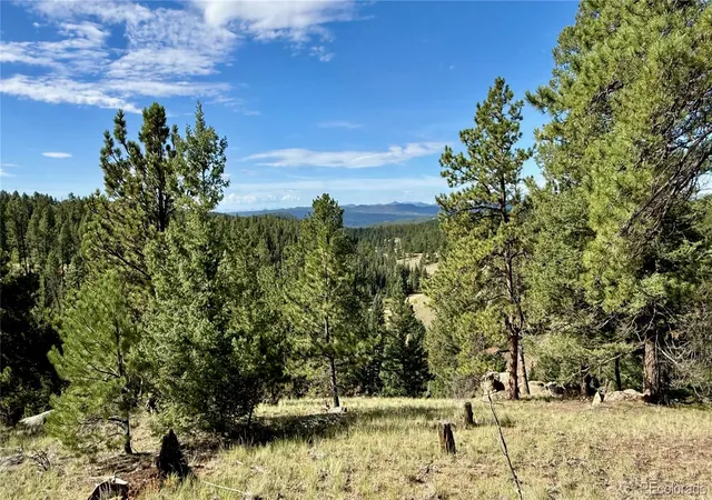 32nd image of 196 Beaver Creek Cir, Florissant, CO 80816 | MLS# 7423009