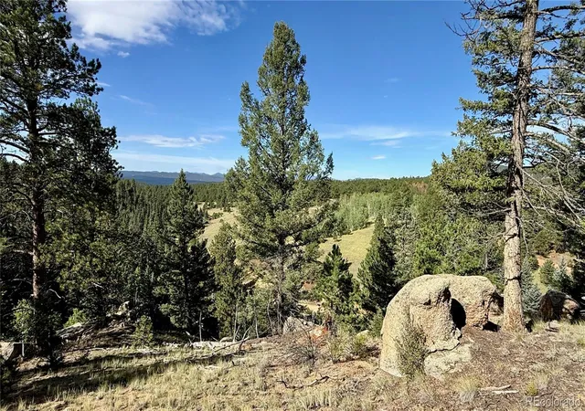 4th image of 196 Beaver Creek Cir, Florissant, CO 80816 | MLS# 7423009