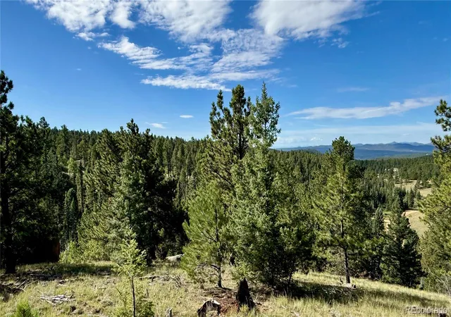 5th image of 196 Beaver Creek Cir, Florissant, CO 80816 | MLS# 7423009