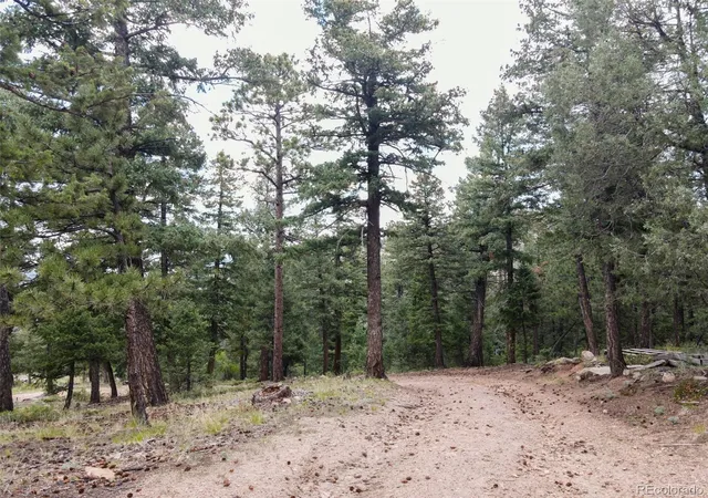 5th image of --, Evergreen, CO 80439 | MLS# 7893387