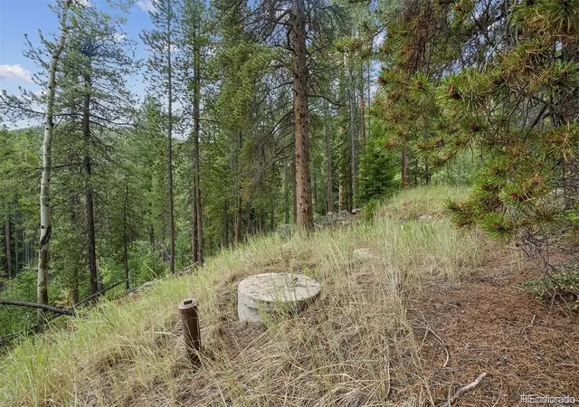 Photo 3 of Land for sale at 002 Fall River Rd, Idaho Springs, CO 80452 | MLS# 8360121 | Listing updated on 2026-09-28