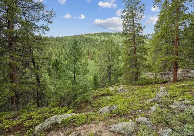 Land for sale at 001 Fall River Rd, Idaho Springs, CO 80452 | MLS# 3566656