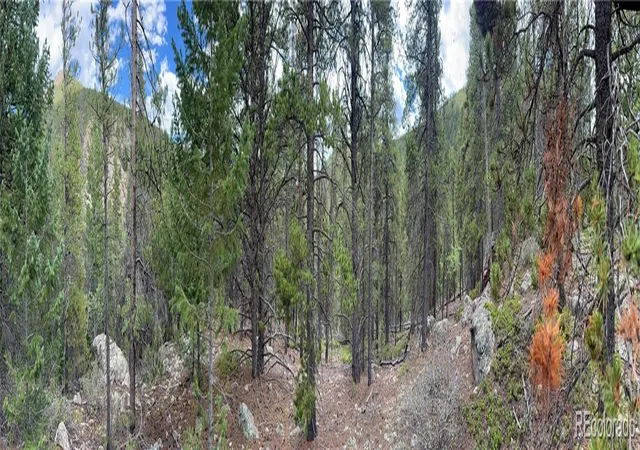 Photo 3 of Land for sale at 001 Fall River Rd, Idaho Springs, CO 80452 | MLS# 3566656 | Listing updated on 2026-09-28