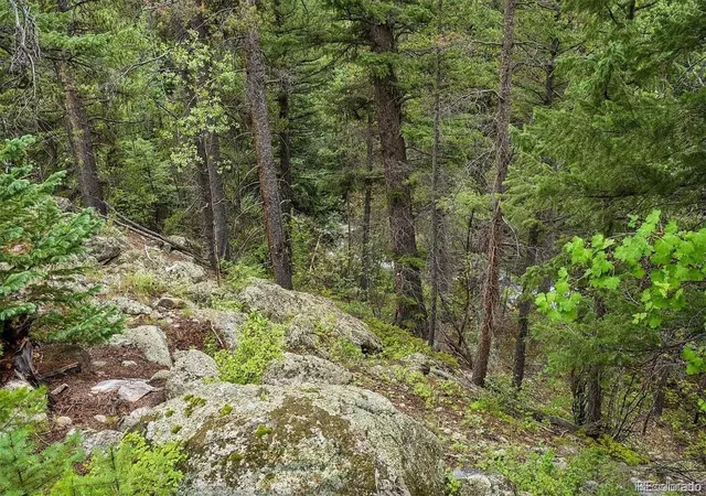 Photo 4 of Land for sale at 001 Fall River Rd, Idaho Springs, CO 80452 | MLS# 3566656 | Listing updated on 2026-09-28