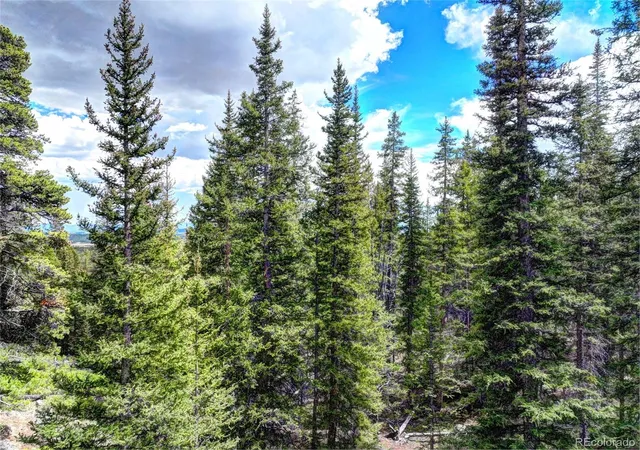 2nd image of 0 Dry Gulch Rd, Fairplay, CO 80440 | MLS# 4974688