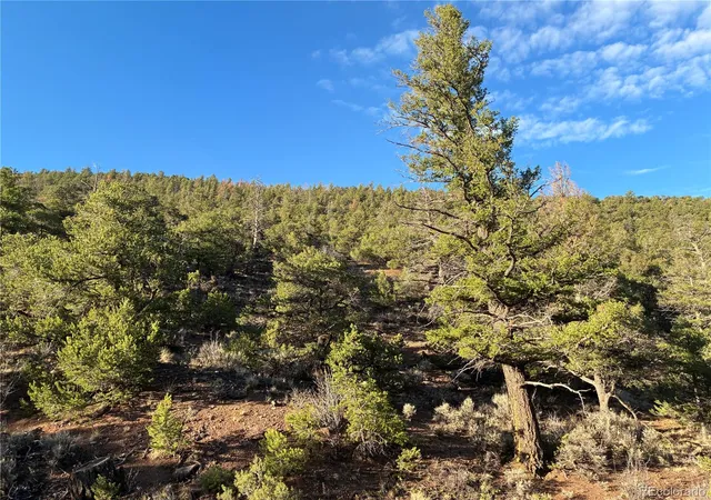 Photo 2 of Land for sale at 85 Ac Adelaide Rd, San Luis, CO 81152 | MLS# 8604846 | Listing updated on 2026-08-24