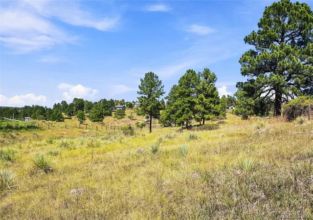 4th image of 10461 Black Forest Dr, Parker, CO 80138 | MLS# 4747585