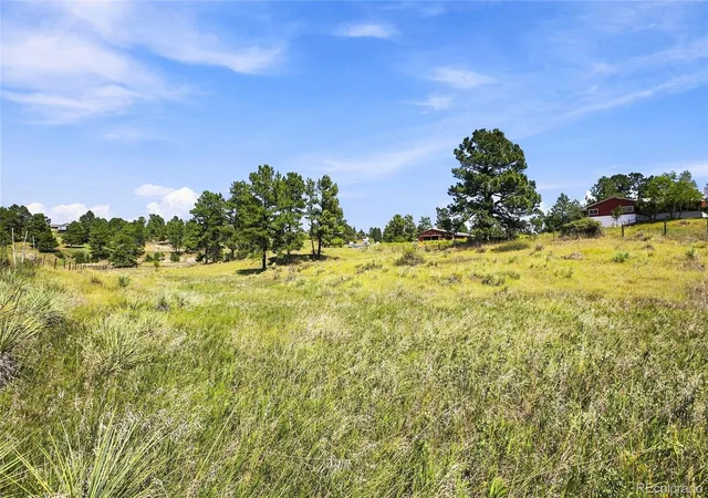 5th image of 10461 Black Forest Dr, Parker, CO 80138 | MLS# 4747585