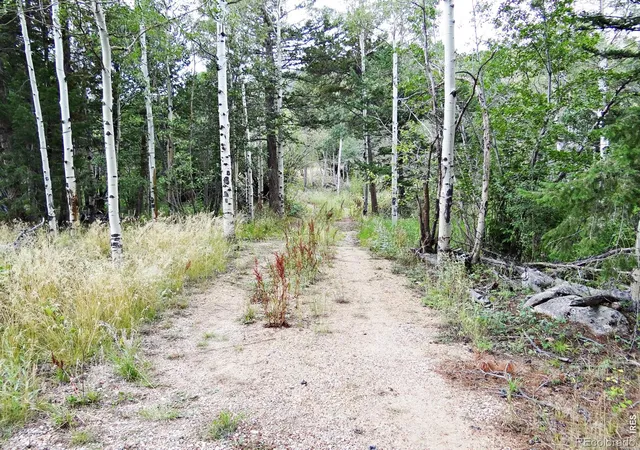17th image of 171 Spokane Ct, Red Feather Lakes, CO 80545 | MLS# IR1067093