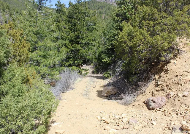1st image of 00 County Rd 308, Idaho Springs, CO 80436 | MLS# 6999710