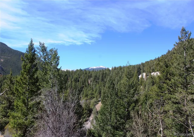 3rd image of 00 County Rd 308, Idaho Springs, CO 80436 | MLS# 6999710