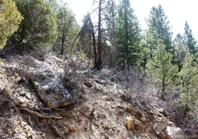 5th image of 00 County Rd 308, Idaho Springs, CO 80436 | MLS# 6999710