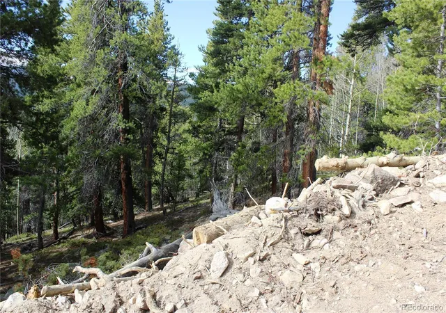 2nd image of 4 1 Lamertine Rd, Idaho Springs, CO 80452 | MLS# 7986622