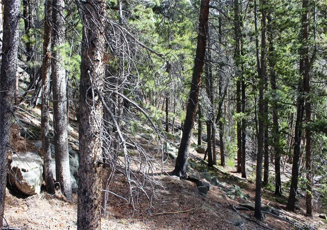 2nd image of 4 2 Lamertine Rd, Idaho Springs, CO 80452 | MLS# 4483999