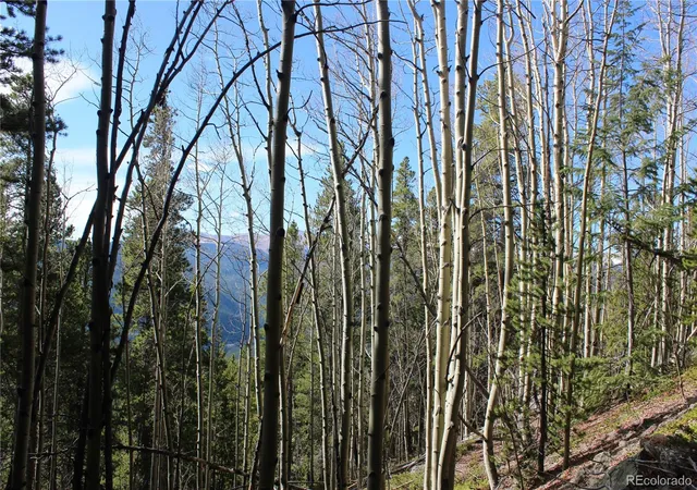 3rd image of 4-2 Lamertine Rd, Idaho Springs, CO 80452 | MLS# 4483999