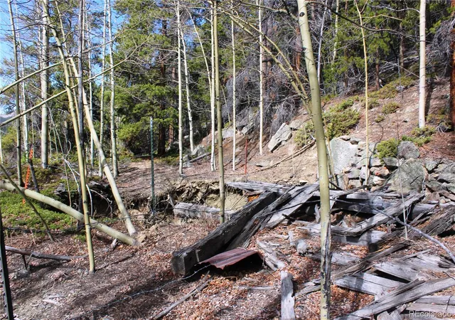 4th image of 4-2 Lamertine Rd, Idaho Springs, CO 80452 | MLS# 4483999