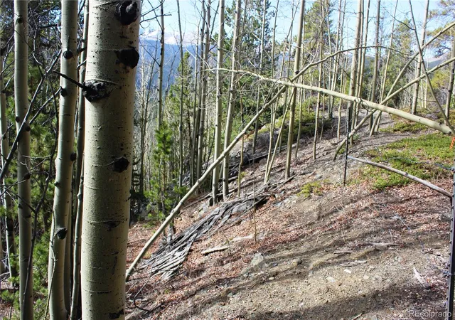 5th image of 4-2 Lamertine Rd, Idaho Springs, CO 80452 | MLS# 4483999