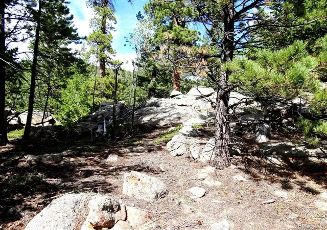 2nd image of 115 Wenro Ct, Red Feather Lakes, CO 80545 | MLS# IR1067103
