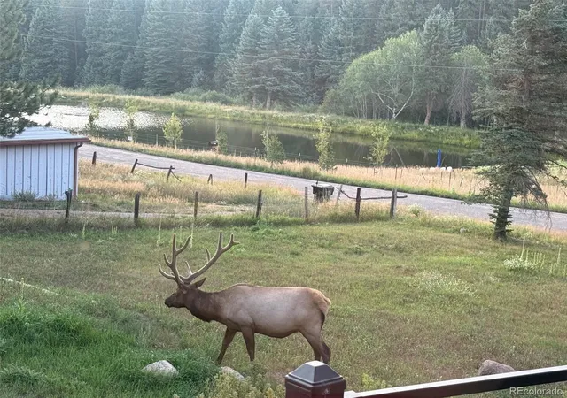 Photo 39 of Single family home for sale at 26955 Stagecoach Rd, Conifer, CO 80433 | MLS# 5962948 | Listing updated on 2026-08-29